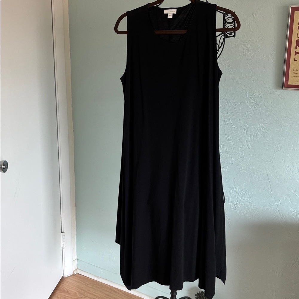Black Sleeveless Dress
